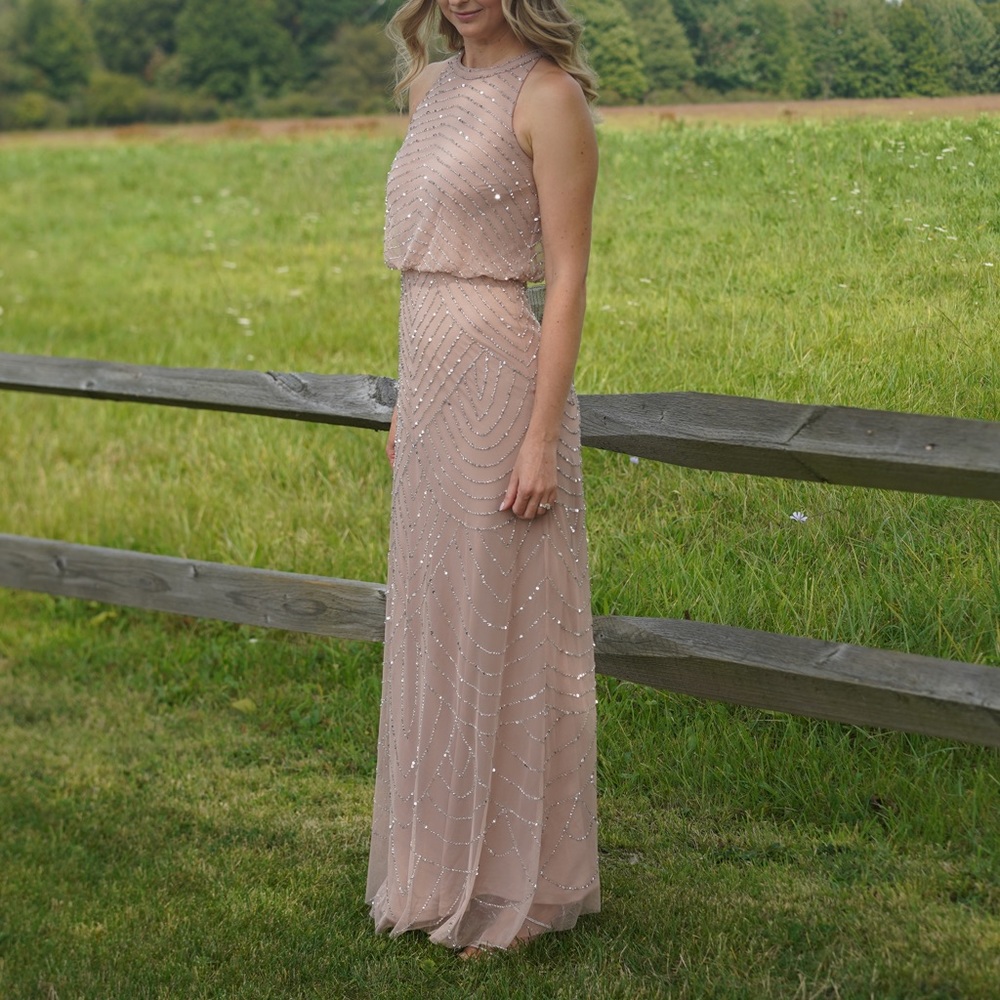 Adrianna Papell Blush Sequin Maxi Dress